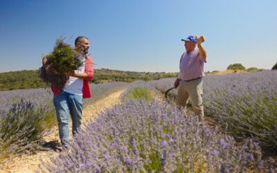 El chef D`Ambrosio conoce La Alcarria de Cela