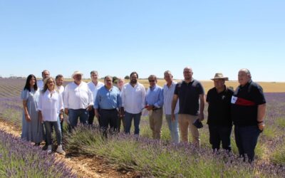 Alcarria Flora recibe la visita del eurodiputado Juan Ignacio Zoido y otros representantes populares