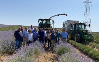 Una delegación de agricultores americanos se interesa por los cultivos de lavanda en La Alcarria