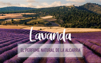 Lavanda: el perfume natural de La Alcarria